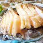 刺身 翡翠の瞳あわびお刺身