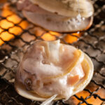 焼き物 活ハマグリ焼き